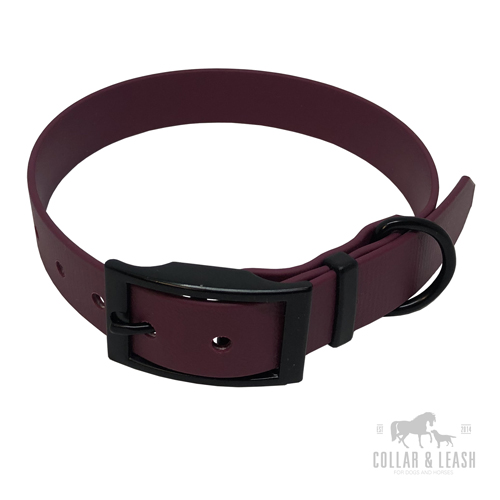 Halsband rot weinrot merlot WN521 Black Edition